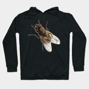 The Fly Hoodie